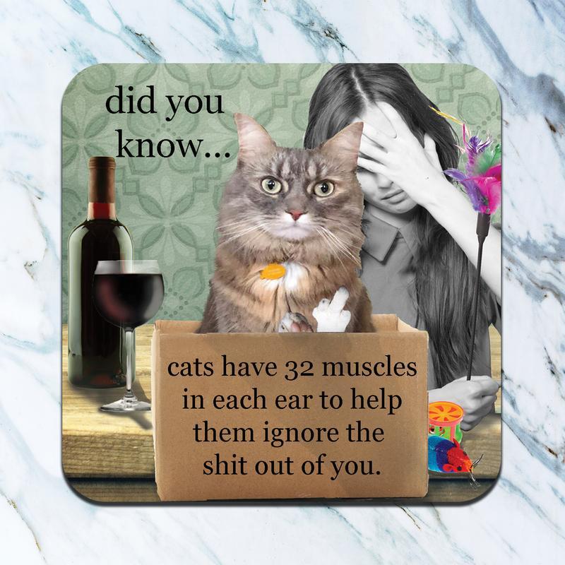 Cats Ignore You Coaster