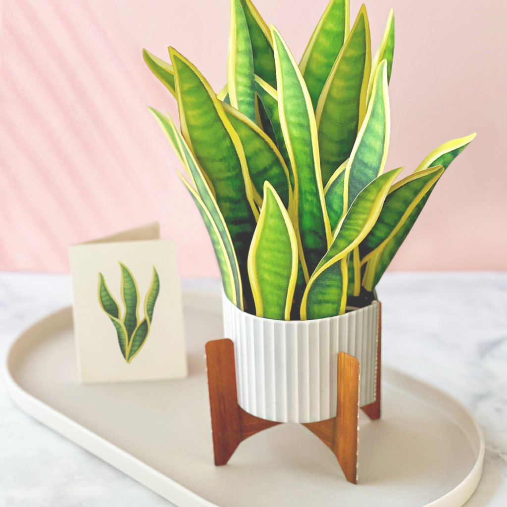 FreshCut Paper Pop-Up Houseplants