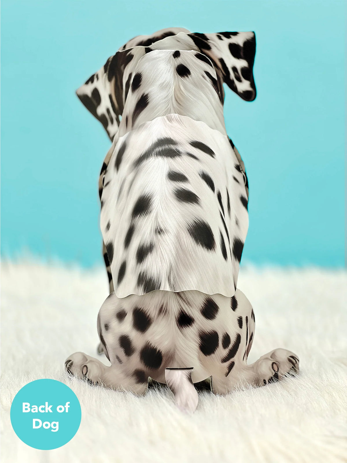 Dalmatian Pop-Up Pet Greeting Card