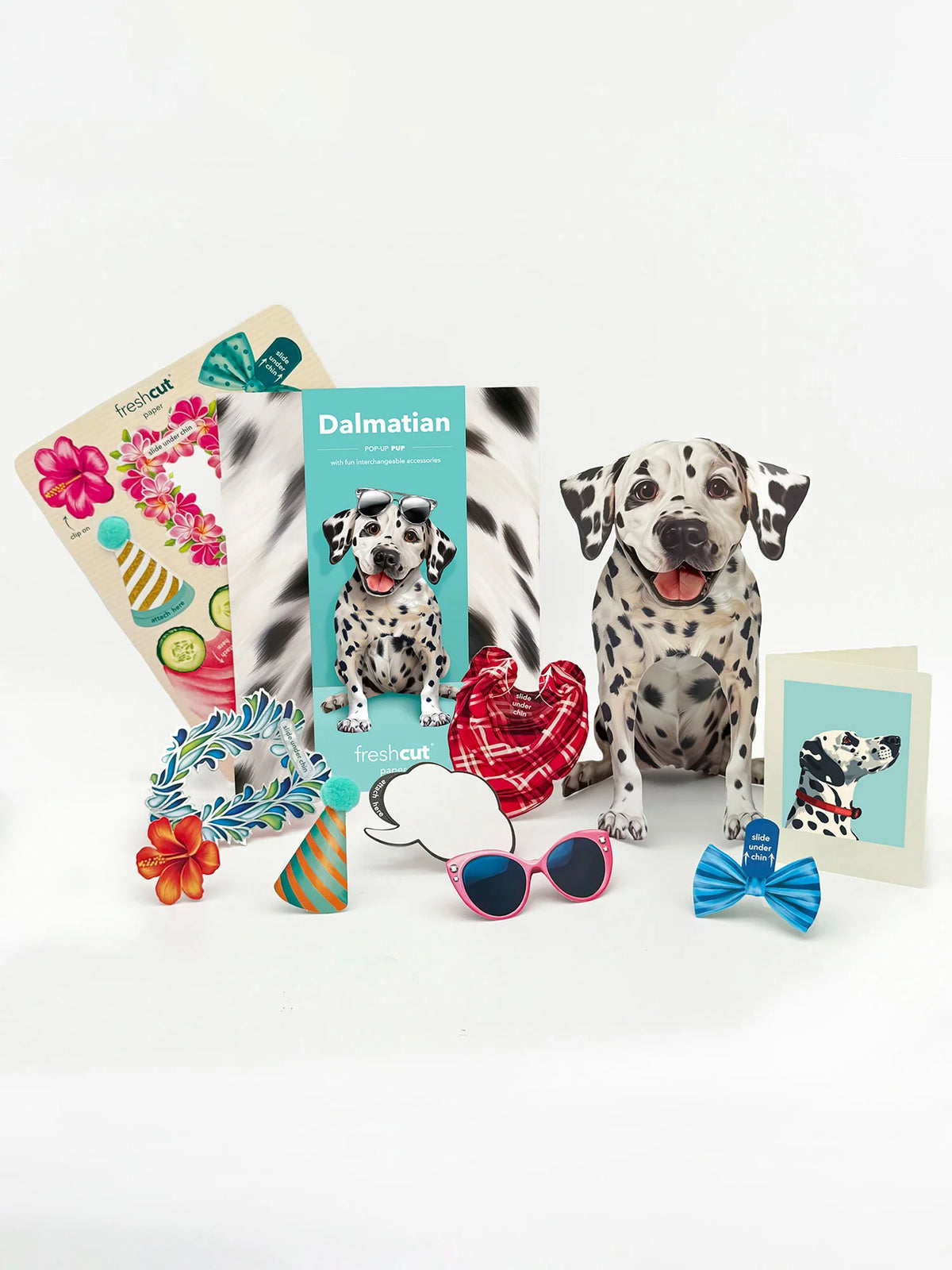 Dalmatian Pop-Up Pet Greeting Card