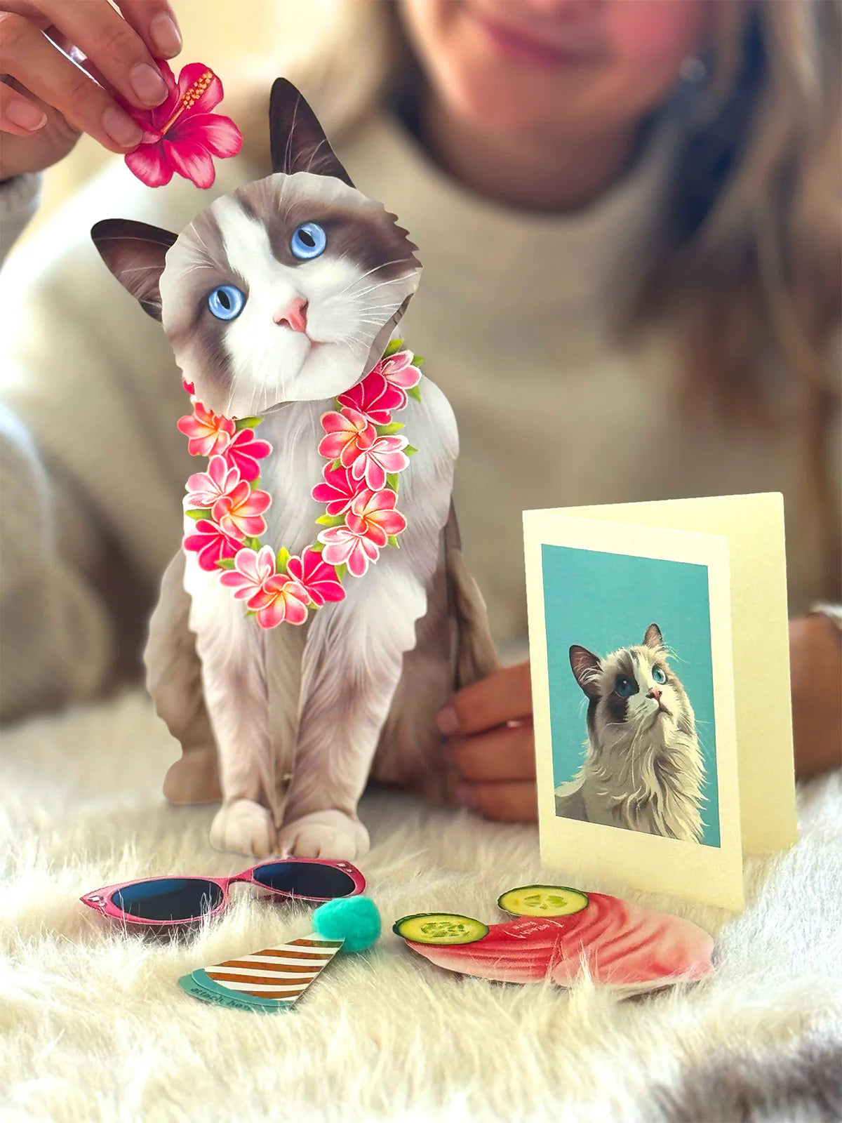 Ragdoll Cat Pop-Up Pet Card