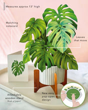 Load image into Gallery viewer, Monstera