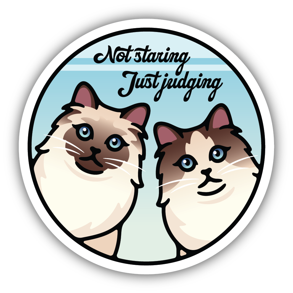Not Staring Just Judging Cats Sticker