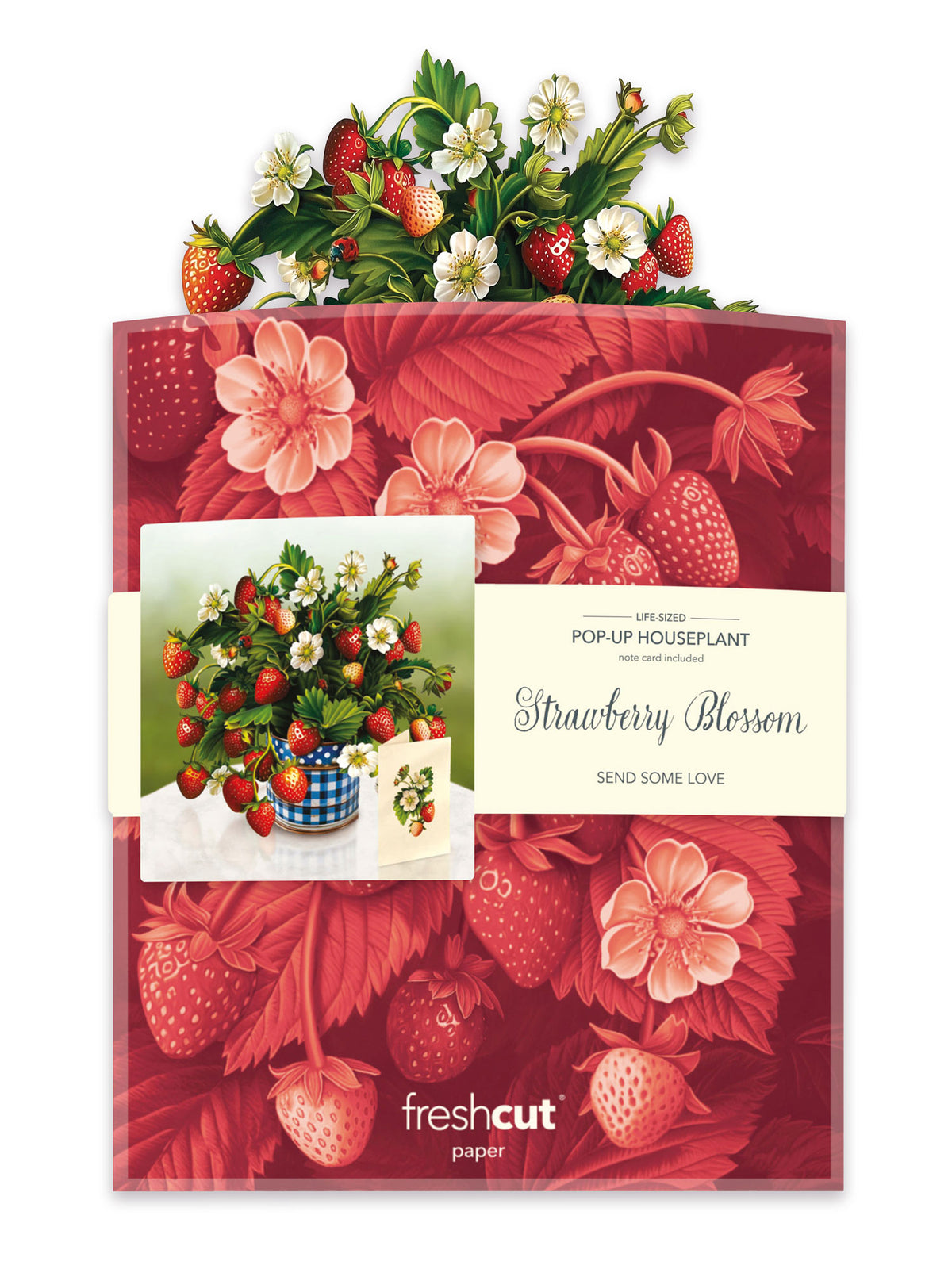 Strawberry Blossom Flower Bouquet Pop-Up Card