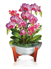 Load image into Gallery viewer, Orchid Oasis