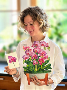 Orchid Oasis