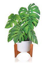 Load image into Gallery viewer, Monstera