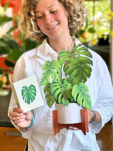 Monstera