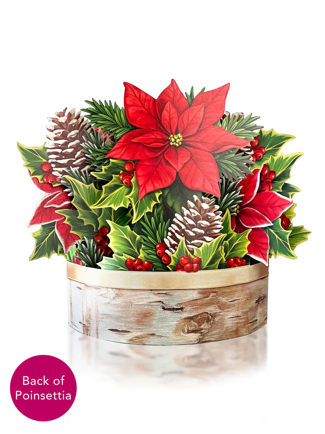 Birch Poinsettia