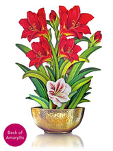 Load image into Gallery viewer, Scarlet Amaryllis