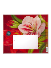 Load image into Gallery viewer, Scarlet Amaryllis