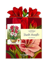 Load image into Gallery viewer, Scarlet Amaryllis