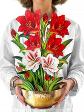 Load image into Gallery viewer, Scarlet Amaryllis