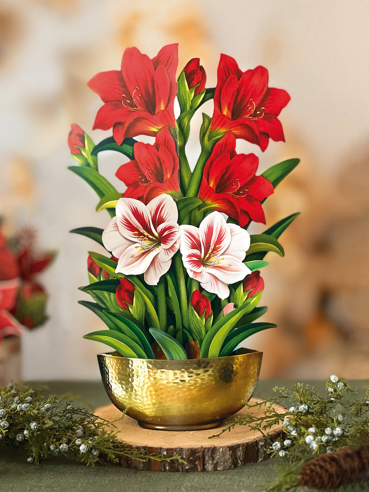 Scarlet Amaryllis