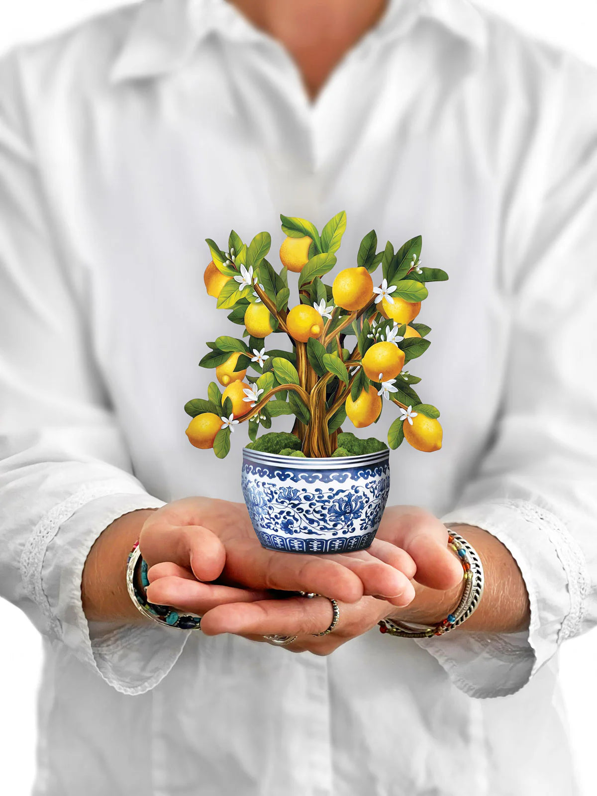 Mini Lemon Blossom Tree Pop-Up Card