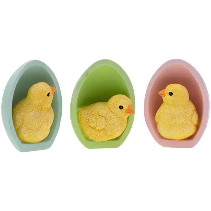 Baby Chicks In Eggs