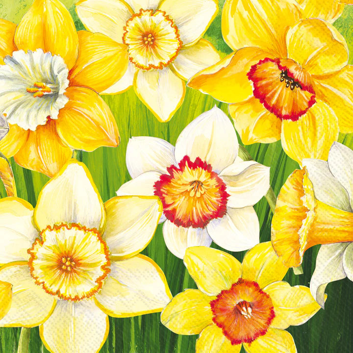 Daffodils Field Cocktail Napkins