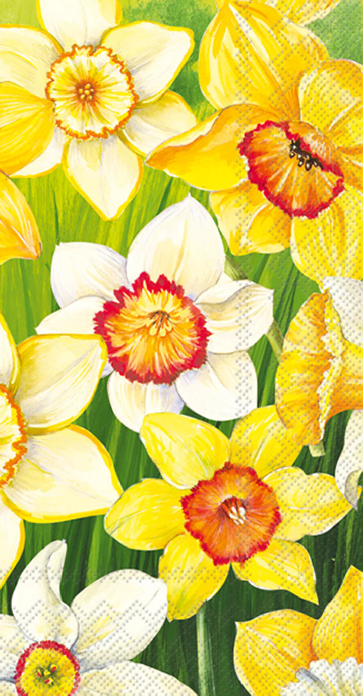 Daffodils Field Guest Towels