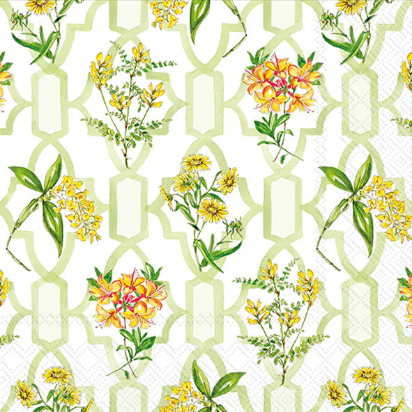 Green Trellis Cocktail Napkins