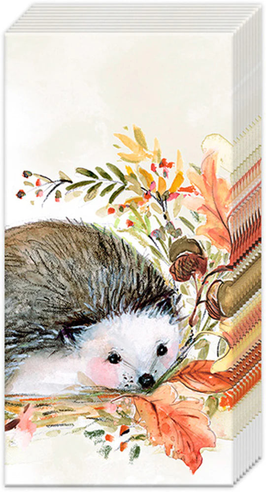 Sweet Hedgehog Pocket Tissues