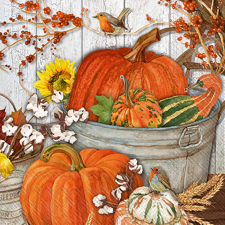 It's Pumpkin Time Cocktail Napkins