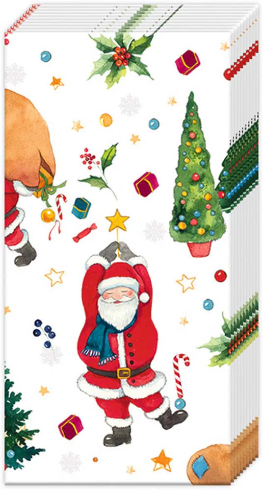 Santa&#39;s Look Pocket Tissues