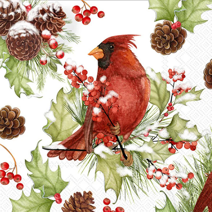 Boston International IHR Cardinals In Holly Cocktail Napkins C000253