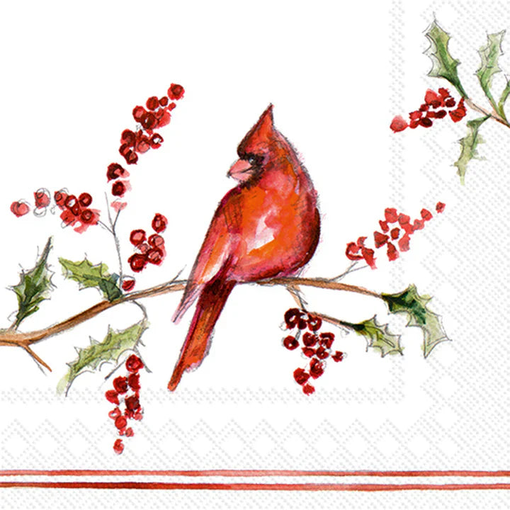 Boston International IHR Christmas Cardinal Cocktail Napkins C1060300