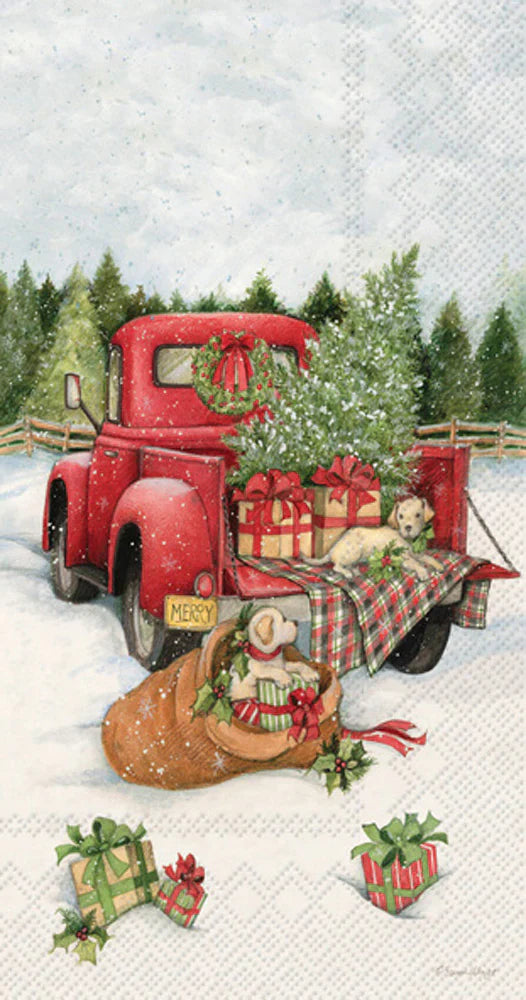 Boston International IHR Christmas Delivery Guest Towels BF767300