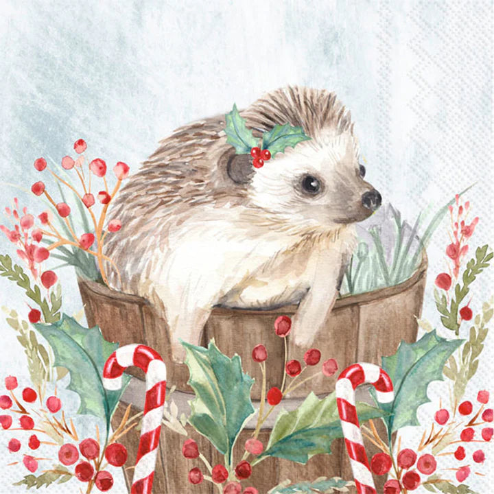 Boston International IHR Holiday Hedgehog Cocktail Napkins C047600
