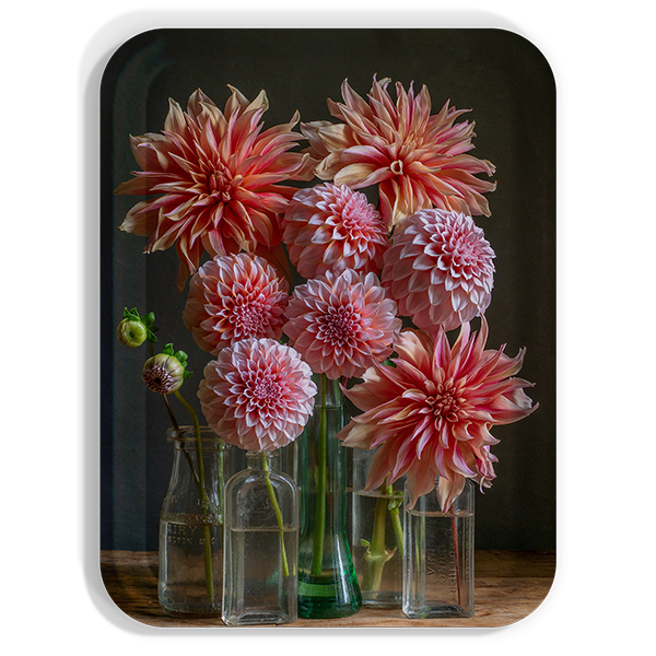 Dahlia Still Life Large Tray