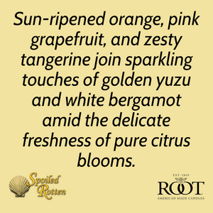 Citron & Bergamot Small Veriglass