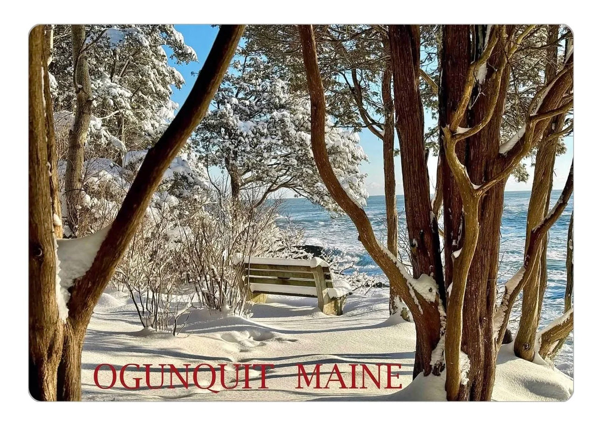 Marginal Way Winter Bench 36 Magnet