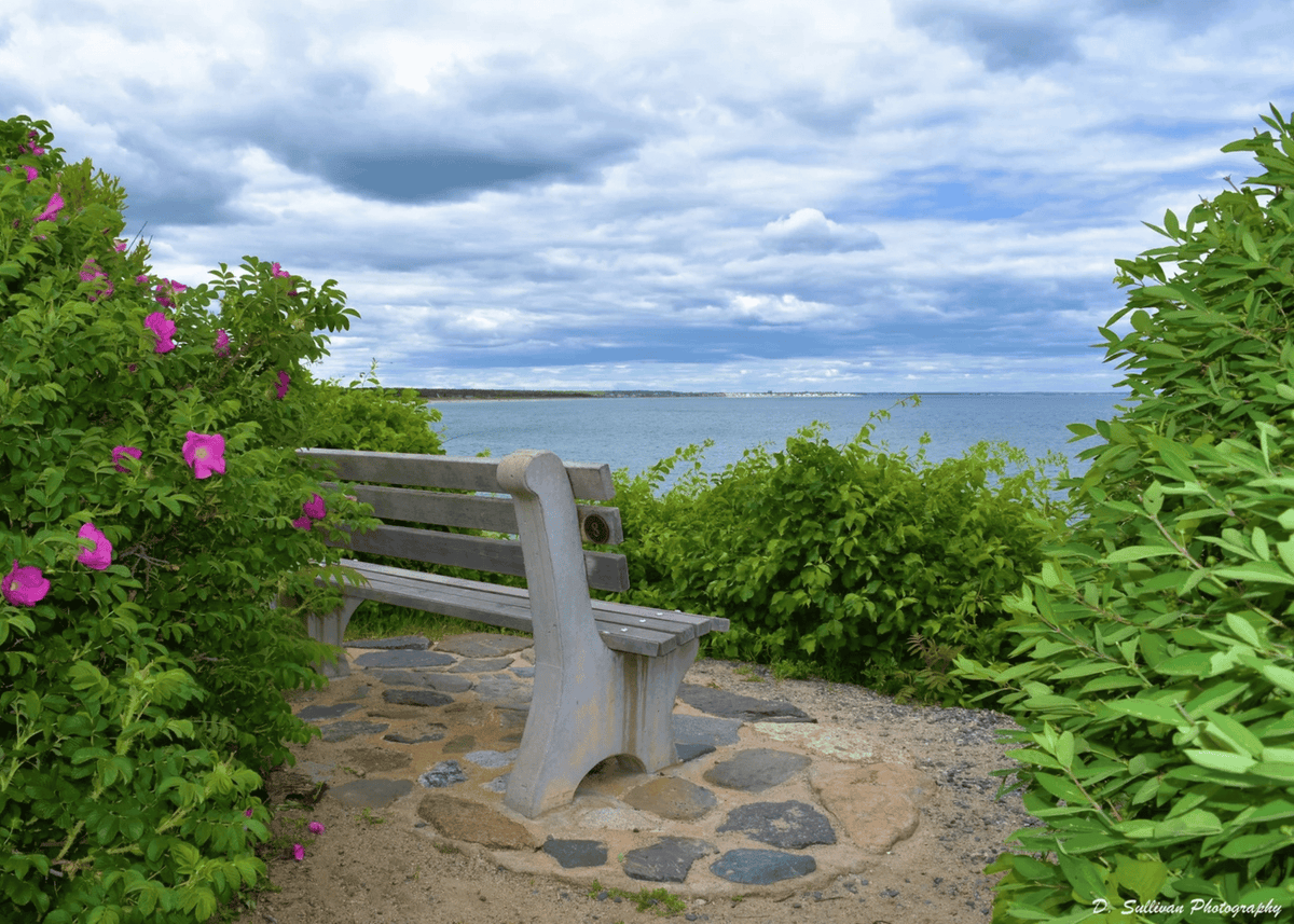 Marginal Way Bench 8 Greeting Card