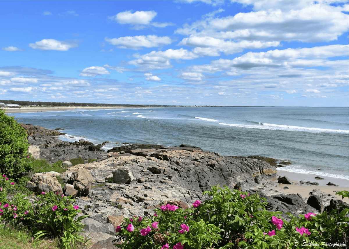Marginal Way Summer View Greeting Card