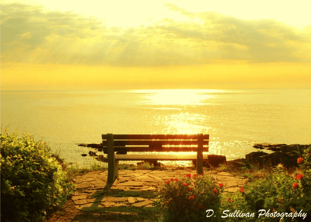 Marginal Way Sunrise Greeting Card