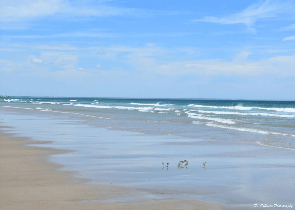 Beach Solitude Greeting Card