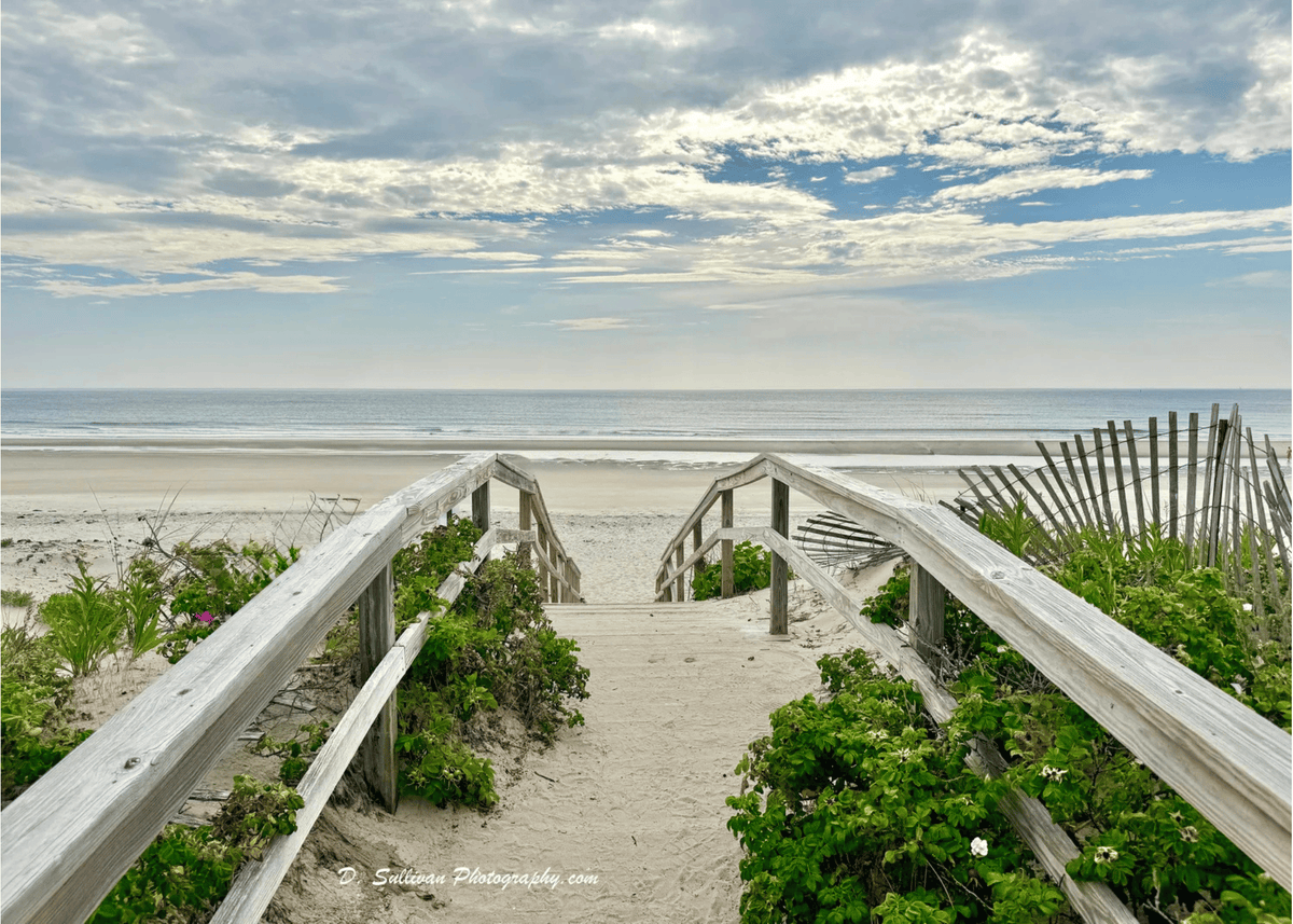 Over The Dunes Greeting Card