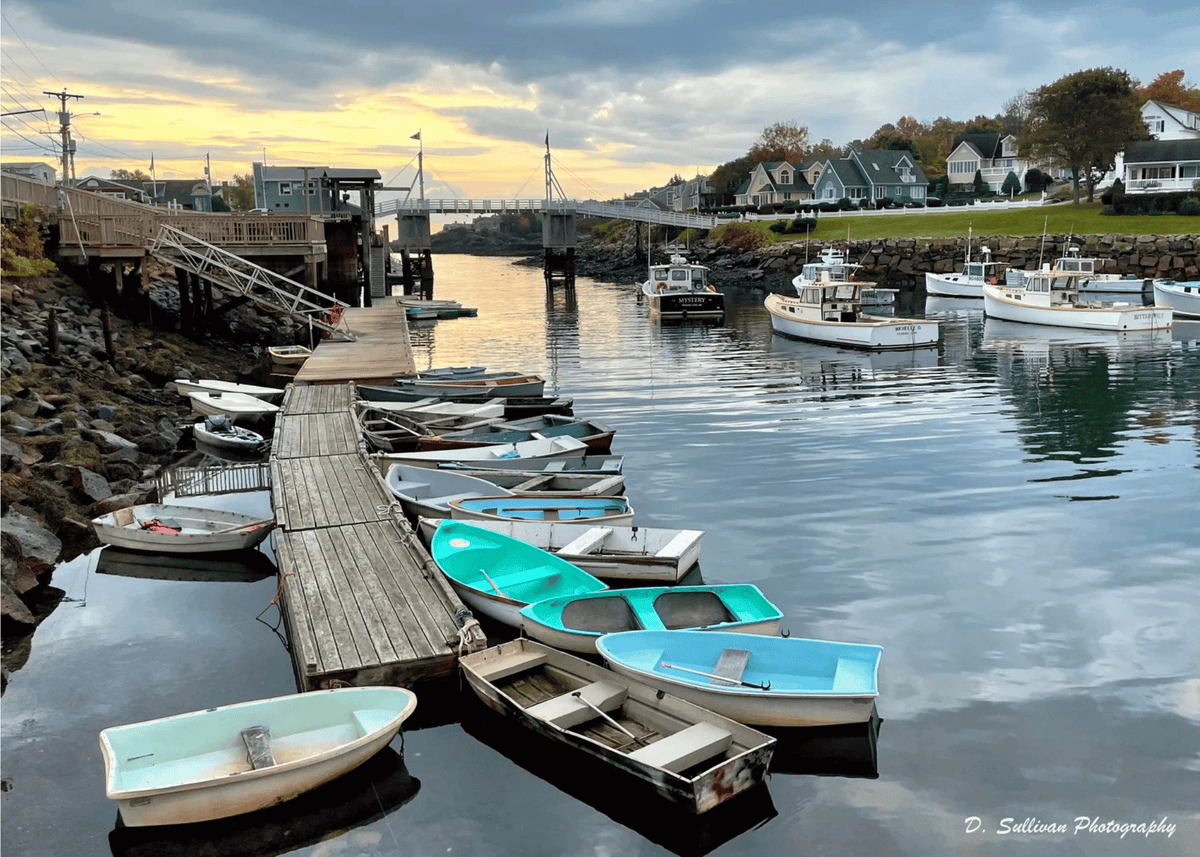 Cove Dawn Greeting Card