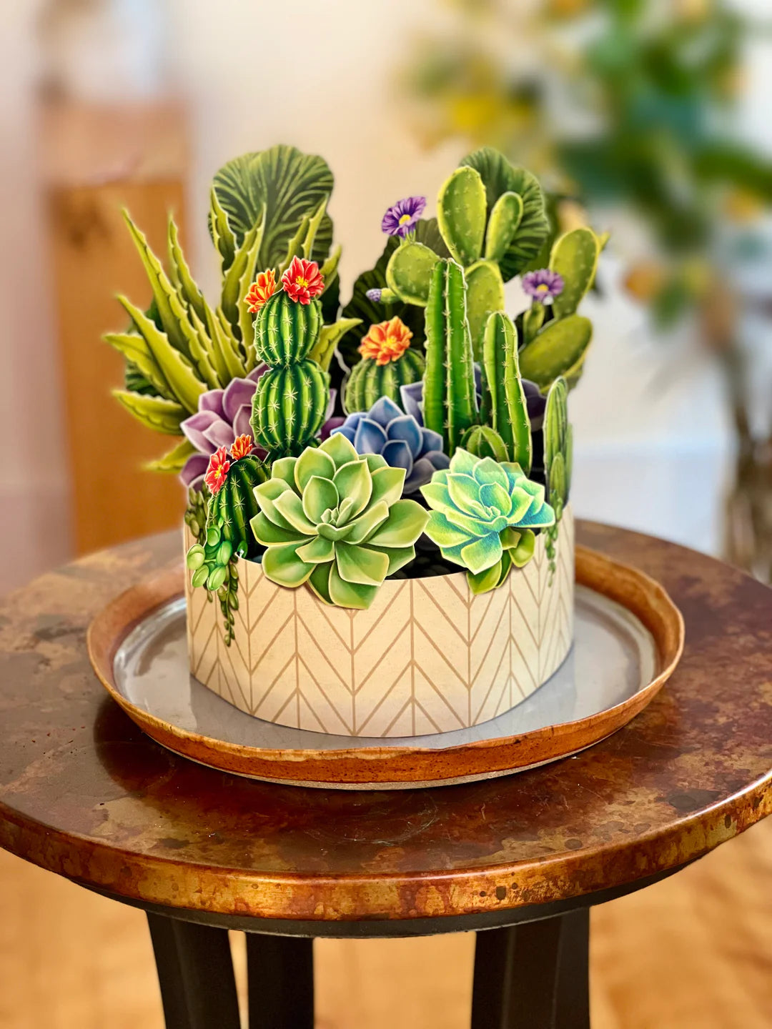 Cactus Garden Pop-Up Botanicals