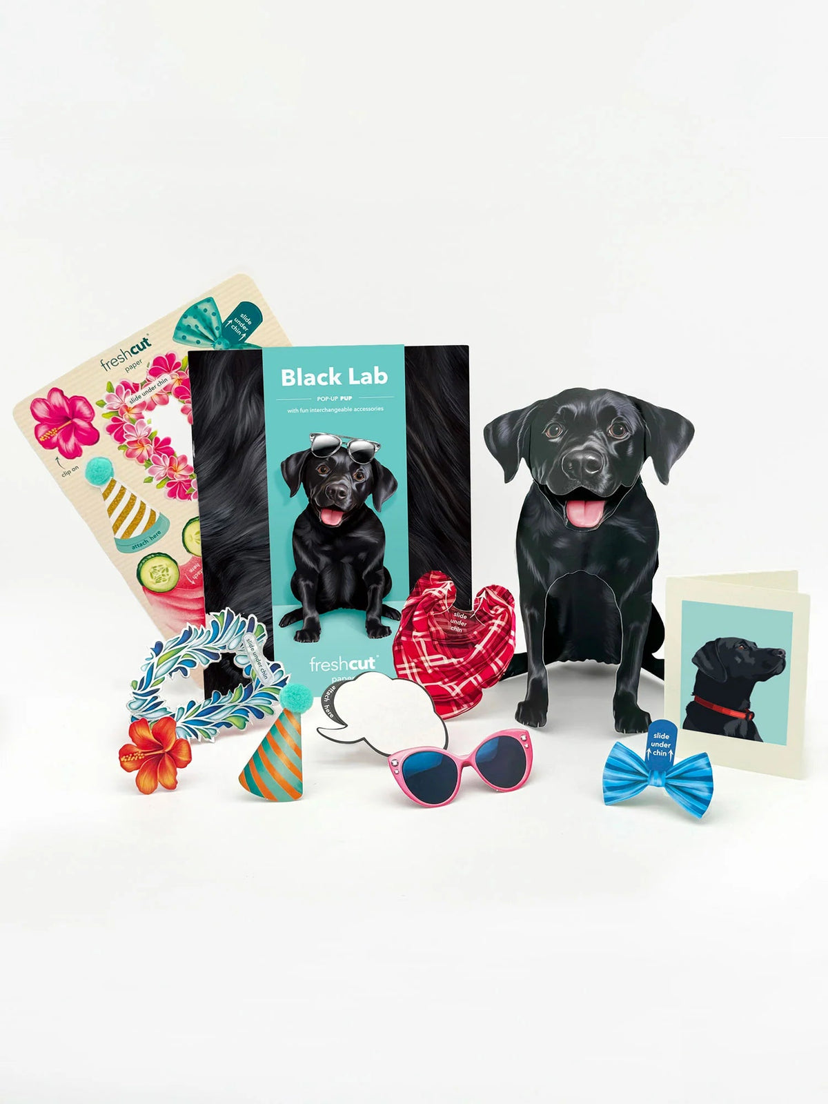 Black Lab Pop-Up Pet Card