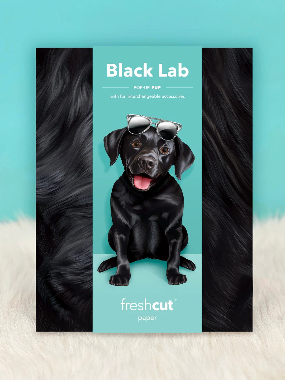 Black Lab Pop-Up Pet Card