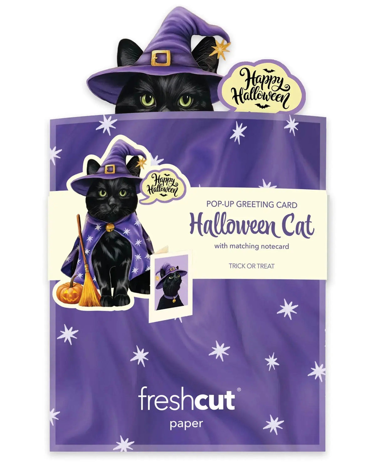 Mini Halloween Cat Pop-Up Greeting Card