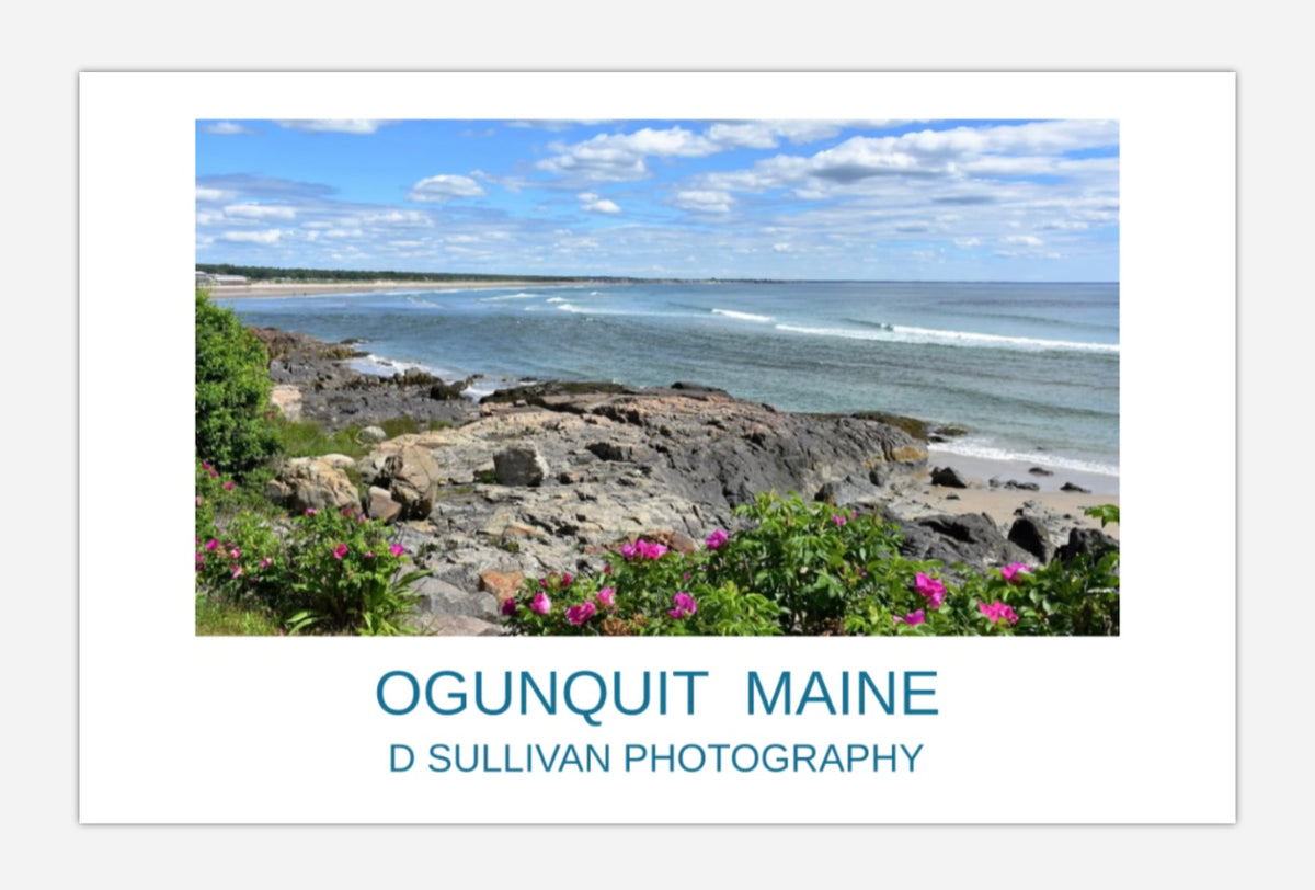 Marginal Way Summer View Poster