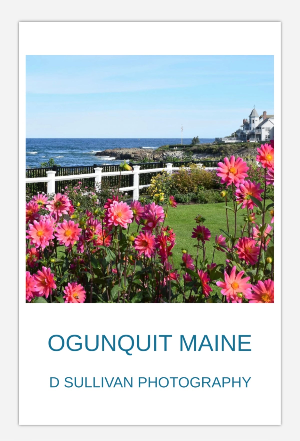 Marginal Way Dahlias Poster