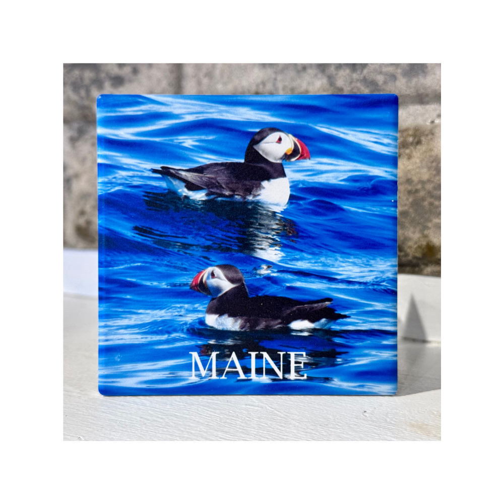 Puffins Ceramic Coaster