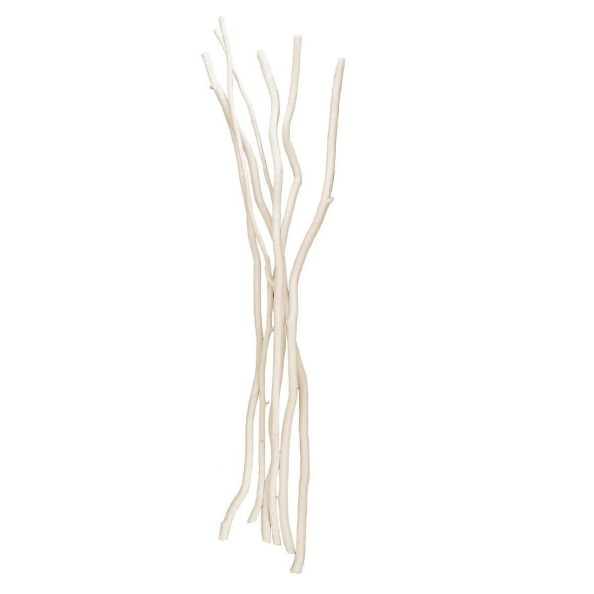 Willow Diffuser Reeds