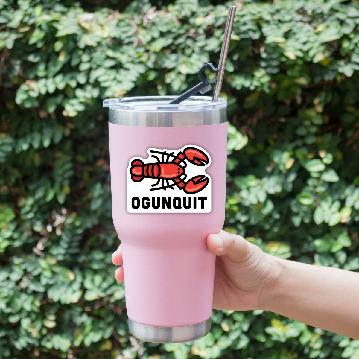 Ogunquit Lobster Sticker