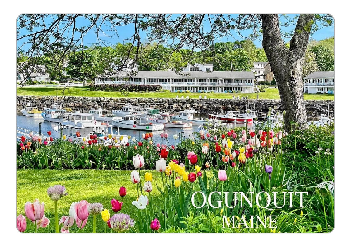 Perkins Cove Tulips Magnet