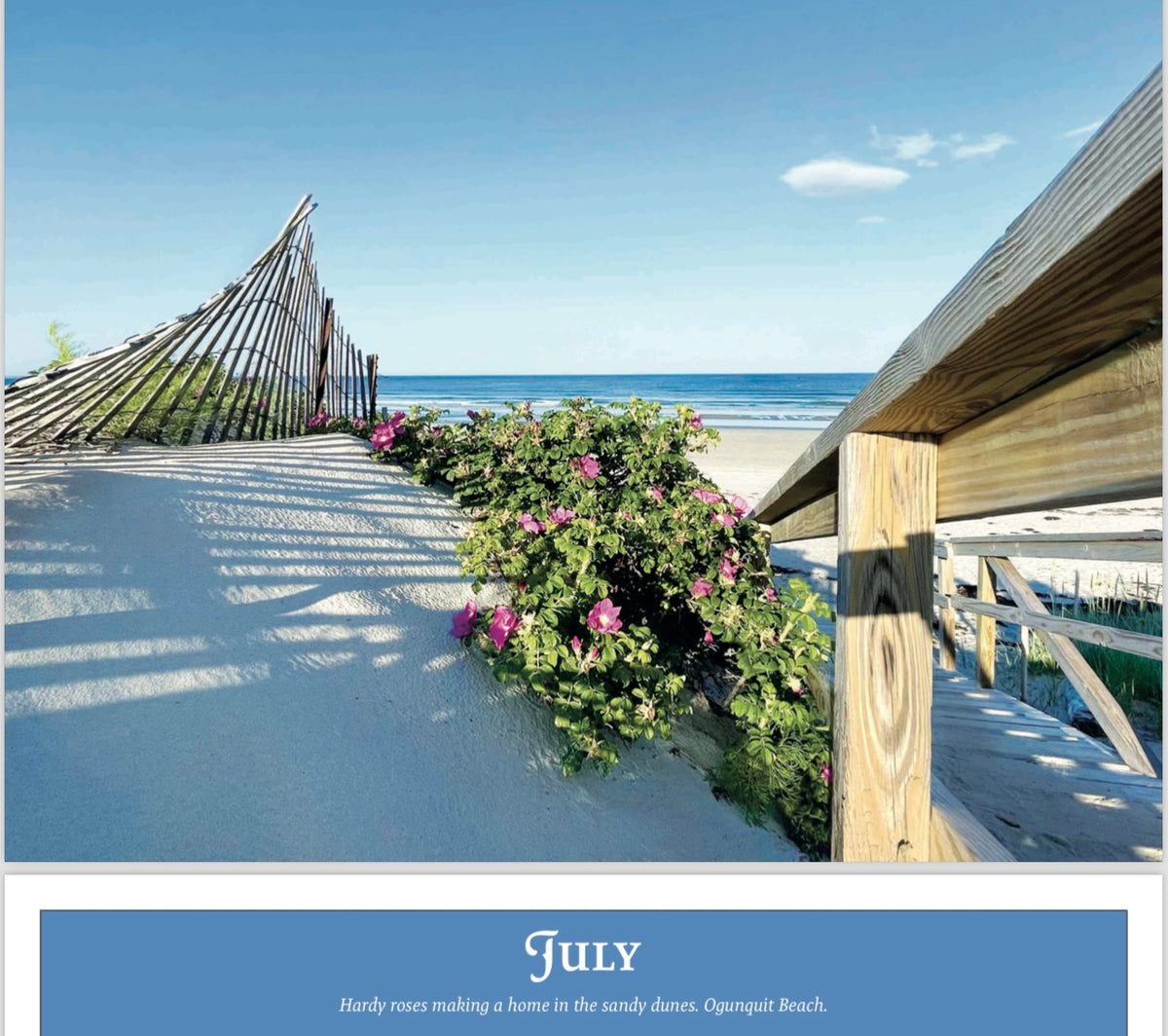 2025 Ogunquit Calendar by David Sullivan